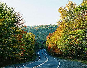 剧情解谜游戏《纳尔鲁：遗忘之地》公布 登陆多平台